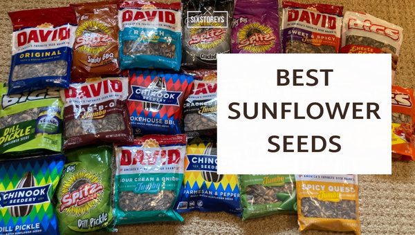 Best Sunflower Seeds in 2024