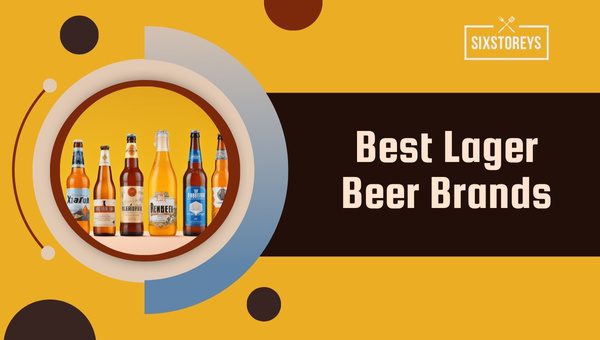 Best Lager Beer Brands 2