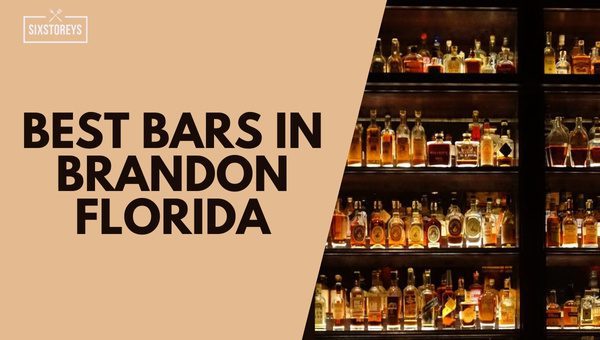Best Bars in Brandon, Florida [Savor the Spirit of 2023]