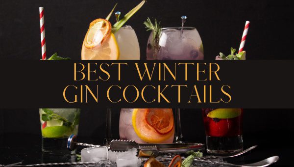 19 Best Winter Gin Cocktails Of 2024 [Unforgettable Flavors]