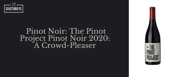 Pinot Noir - The Pinot Project Pinot Noir 2020 -  Best Red Wines For Casual Drinking