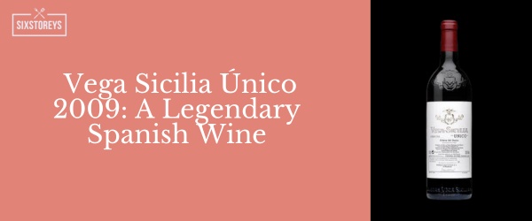 Vega Sicilia Único 2009 -  Best Red Wines For Casual Drinking