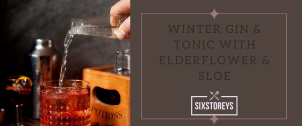 Winter Gin Tonic with Elderflower Sloe