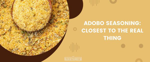 Adobo Seasoning- Best Adobo Sauce Substitute