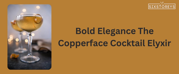 The Copperface Cocktail Elyxir - Winter Vodka Cocktail