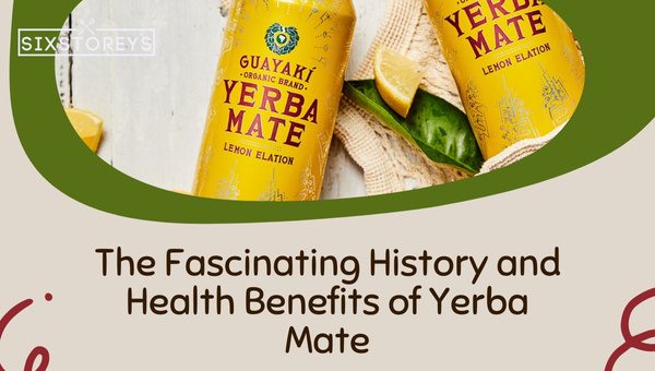 11 Best Yerba Mate Flavors Of 2023 [pick Refreshing Vice]