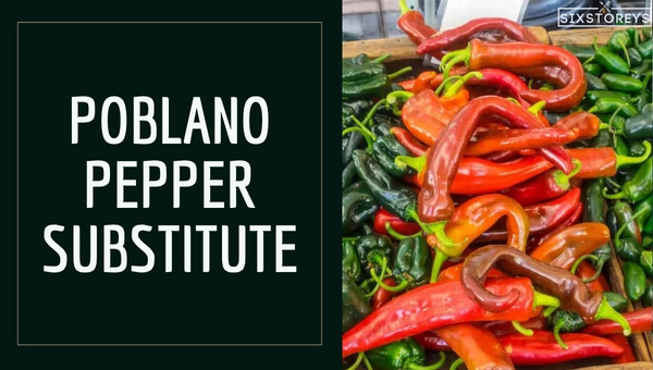 Best Poblano Pepper Substitutes of 2024