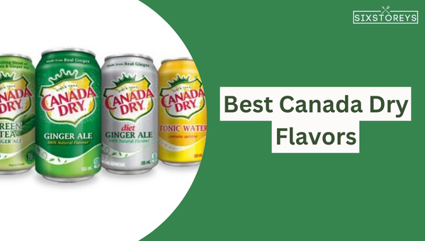 15 Best Canada Dry Flavors of 2024