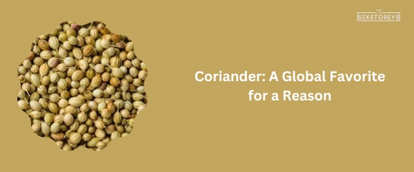 Coriander - Best Substitutes for Dried Savory of 2024