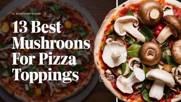 Best Mushrooms for Pizza Toppings in 2024