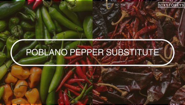 Best Poblano Pepper Substitutes of [cy] [Cook Like a Pro]
