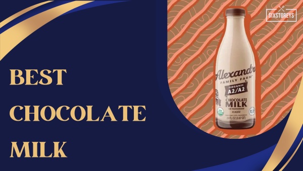 21 Best Chocolate Milk Brands Ranked 2024 Creamy Delights