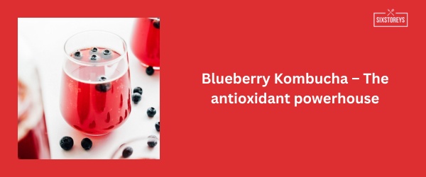 Blueberry Kombucha - Best Kombucha Flavor