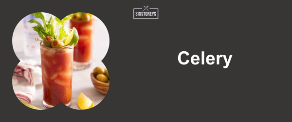 Celery - Best Bloody Mary Garnishes for 2024