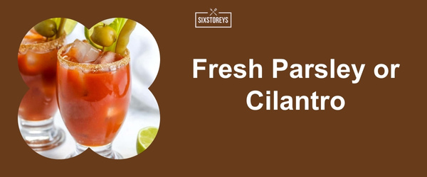 Fresh Parsley or Cilantro - Best Bloody Mary Garnishes for 2024