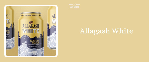 Allagash White - Best Summer Beer To Drink in 2024