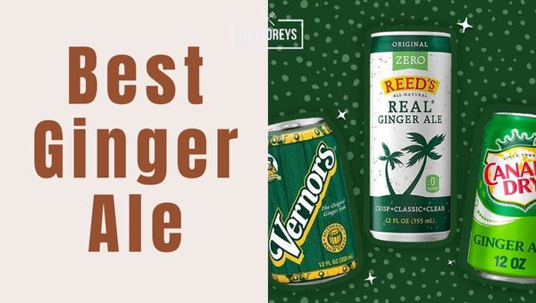 15 Best Ginger Ales See 2024 S Unmatched Winners   Best Ginger Ale 