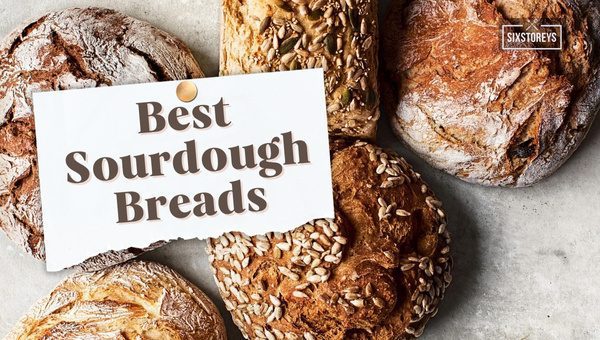 17 Best Sourdough Bread Brands Ranked 2024 [Bread Bonanza]