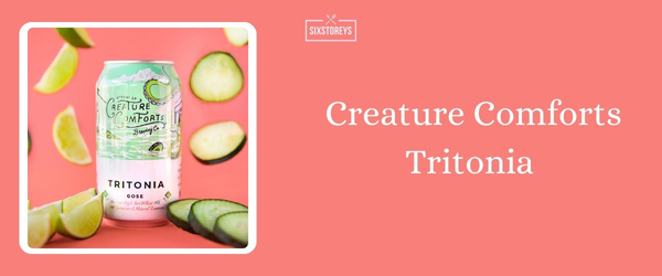 Creature Comforts Tritonia - Best Summer Beer To Drink in 2024