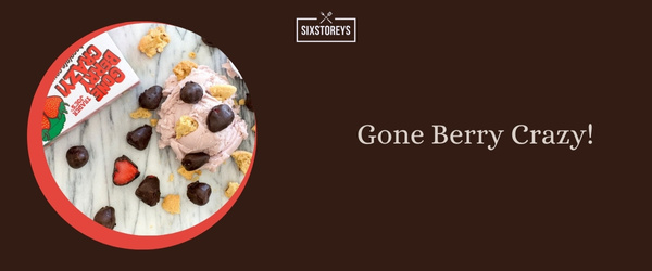 Gone Berry Crazy! - Best Trader Joe's Sweet Snacks of 2024