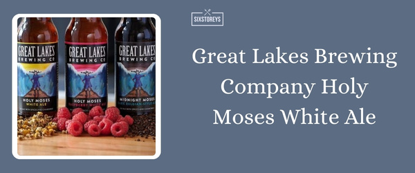 Great Lakes Brewing Company Holy Moses White Ale - Best Summer Beer To Drink in 2024