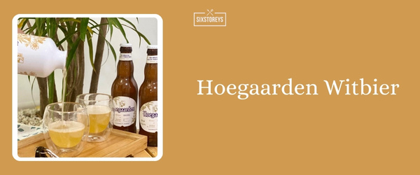 Hoegaarden Witbier - Best Summer Beer To Drink in 2024
