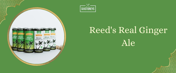 Reed's Real Ginger Ale - Best Ginger Ale (2024)