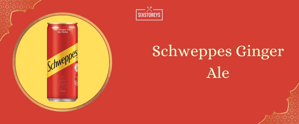 Schweppes Ginger Ale - Best Ginger Ale (2024)