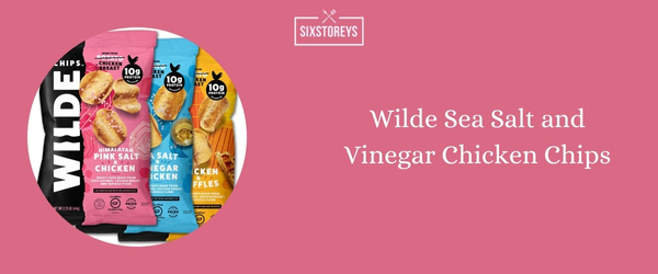 Wilde Sea Salt and Vinegar Chicken Chips - Best Gluten-Free Cracker (2024)