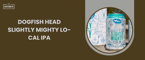 Dogfish Head Slightly Mighty Lo-Cal IPA - Best IPA Beer in 2024