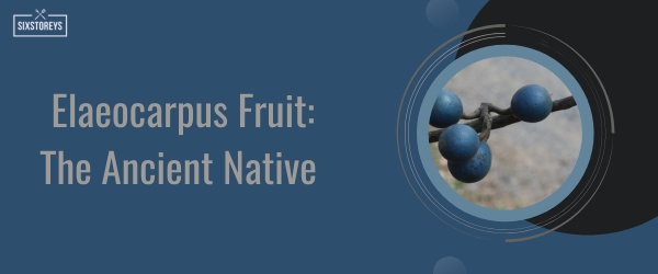 Elaeocarpus Fruit - Fruit That Start With E