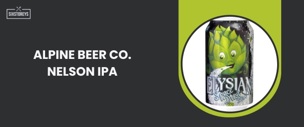 Elysian Space Dust IPA - Best IPA Beer in 2024