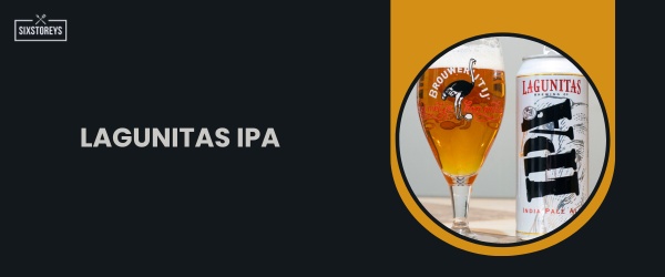 Lagunitas IPA - Best IPA Beer in 2024