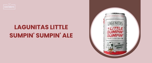 Lagunitas Little Sumpin' Sumpin' Ale - Best IPA Beer in 2024