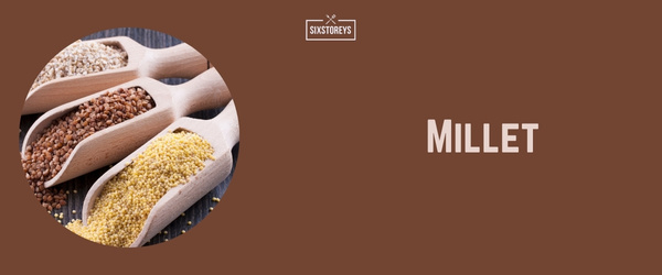 Millet - Best Gluten Free Carb of 2024