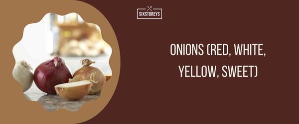Onions - Best Substitute for Leeks in 2024