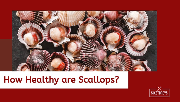 How Healthy are Scallops?
