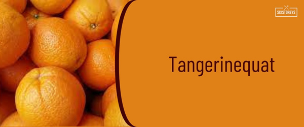 Tangerinequat