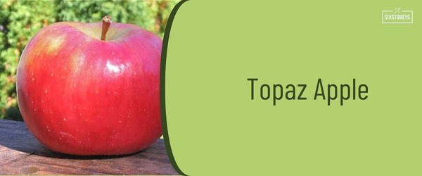Topaz Apple