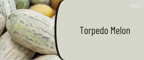 Torpedo Melon