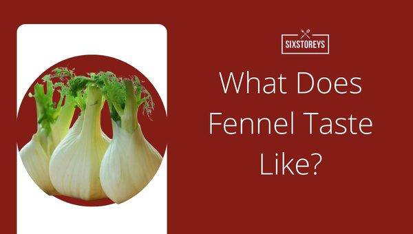 What Does Fennel Taste Like?