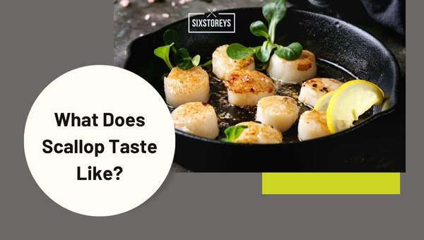 What Does Scallop Taste Like?