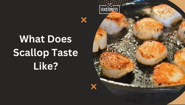 What Does Scallop Taste Like?