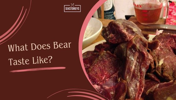 What Does Bear Taste Like?