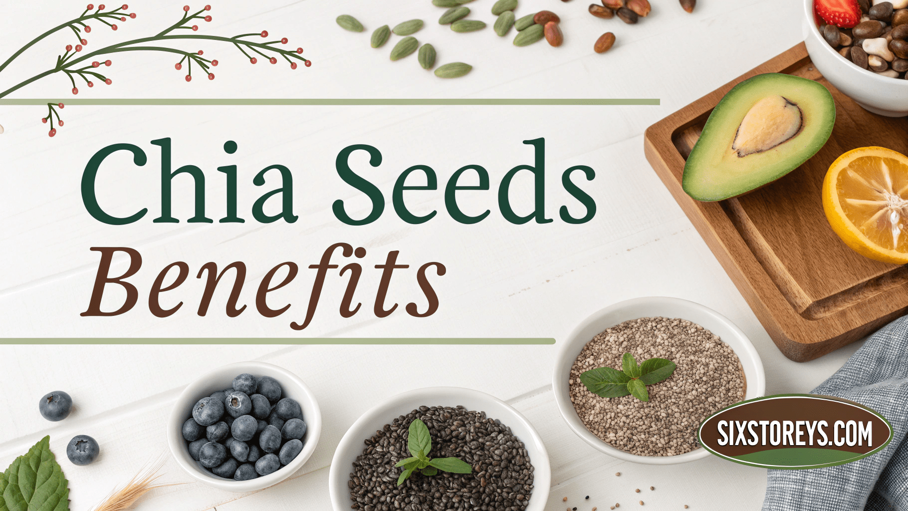 Chia Seeds Benefits