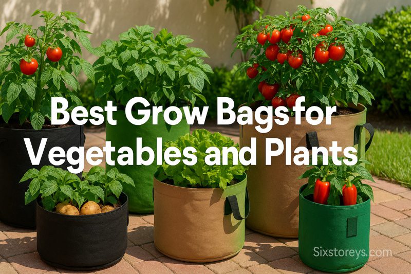 17 Best Grow Bags for Vegetables & Plants ([cy]) Potato