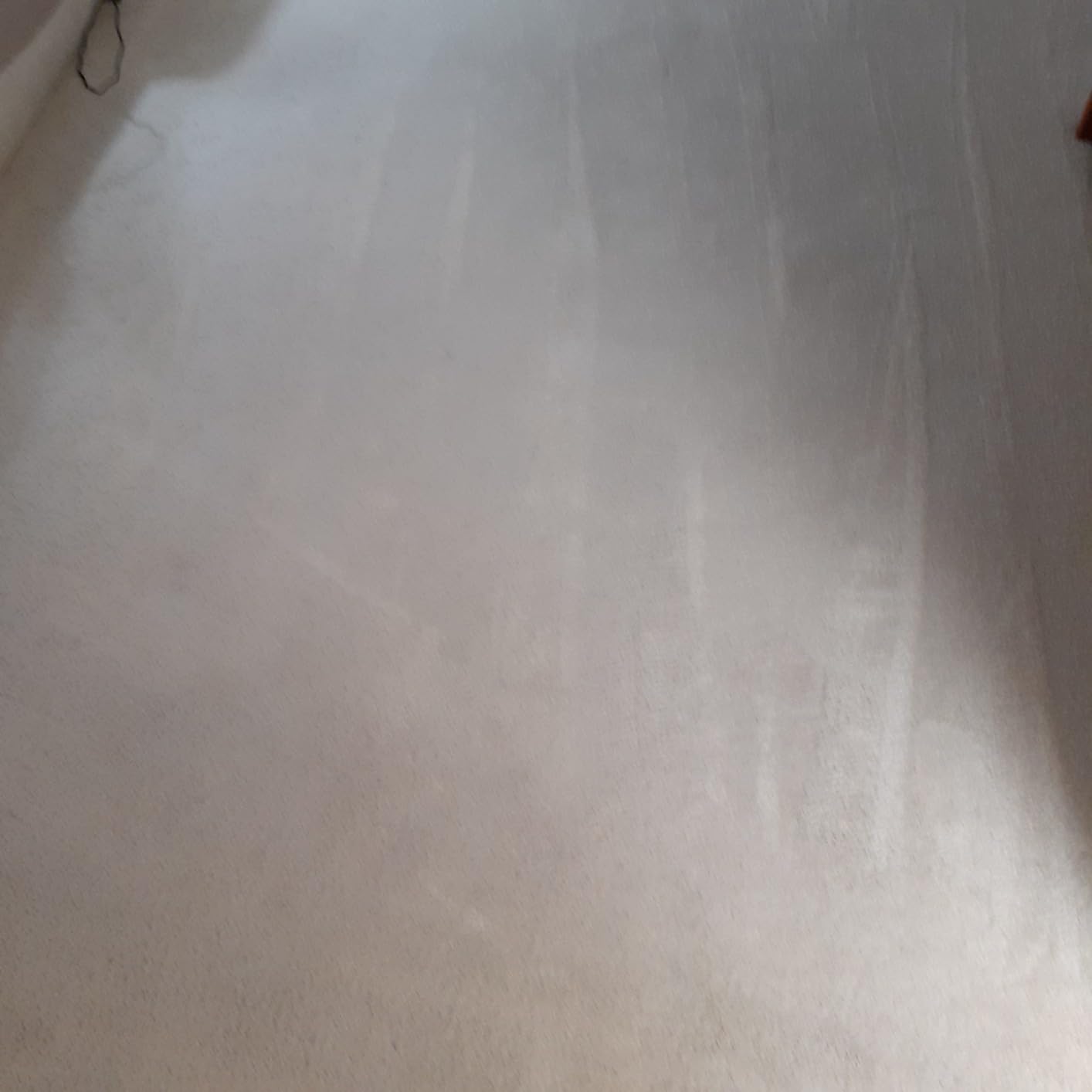 Hoover PowerDash Pet Compact Carpet Cleaner Machine, Lightweight Design, HeatForce Fast Drying, Antimicrobial Brush Roll customer photo 2