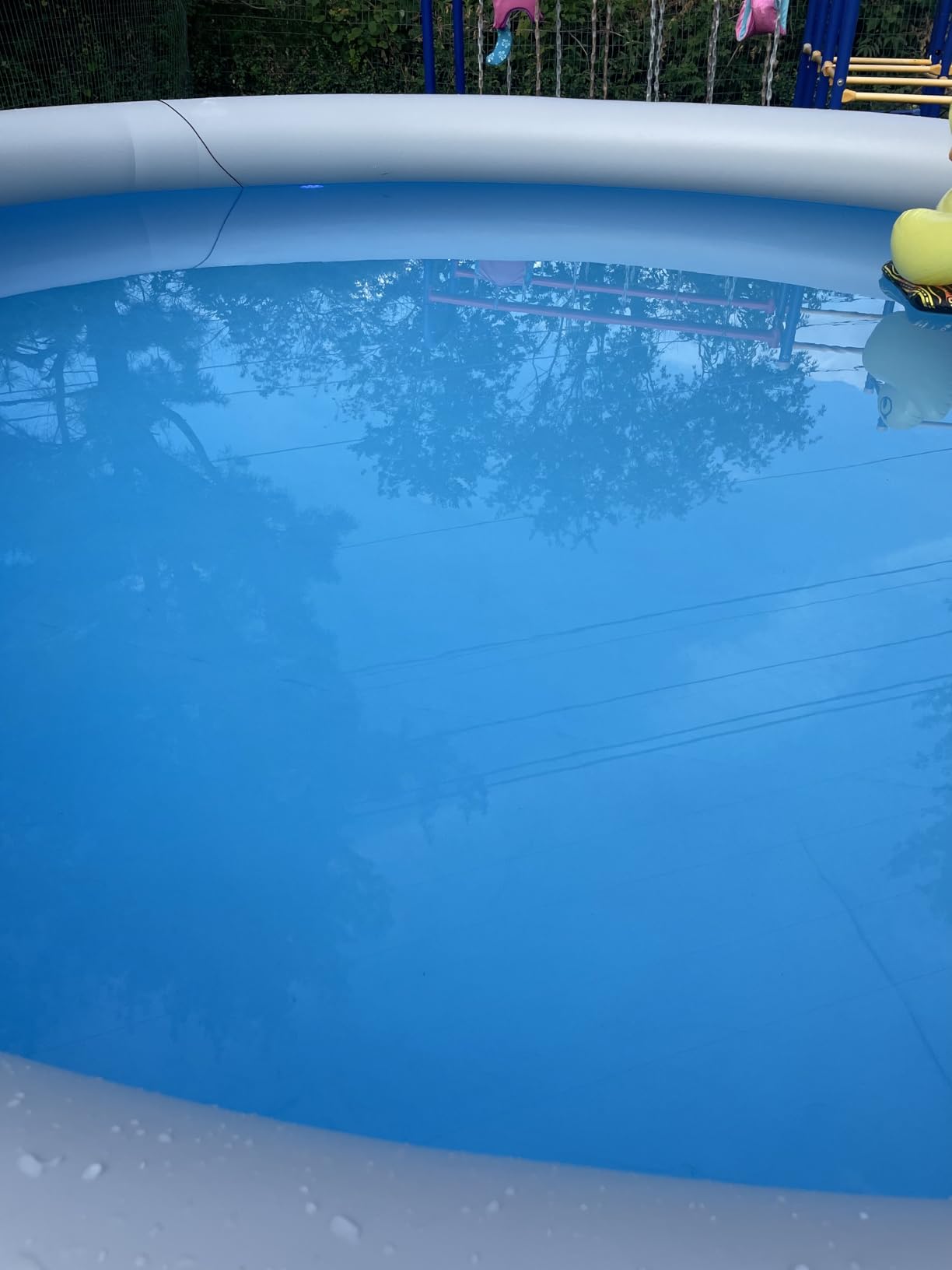 POOL BLASTER Millennium Cordless Pool Vacuum for Above Ground Pools w/Pole Set, High Capacity, Strong Suction, Handheld Rechargeable Swimming Pool Vacuum for Inground Pools, Hoseless, by Water Tech Customer Review POOL BLASTER Millennium Cordless Pool Vacuum for Above Ground Pools w/Pole Set, High Capacity, Strong Suction, Handheld Rechargeable Swimming Pool Vacuum for Inground Pools, Hoseless, by Water Tech - Customer Photo 1