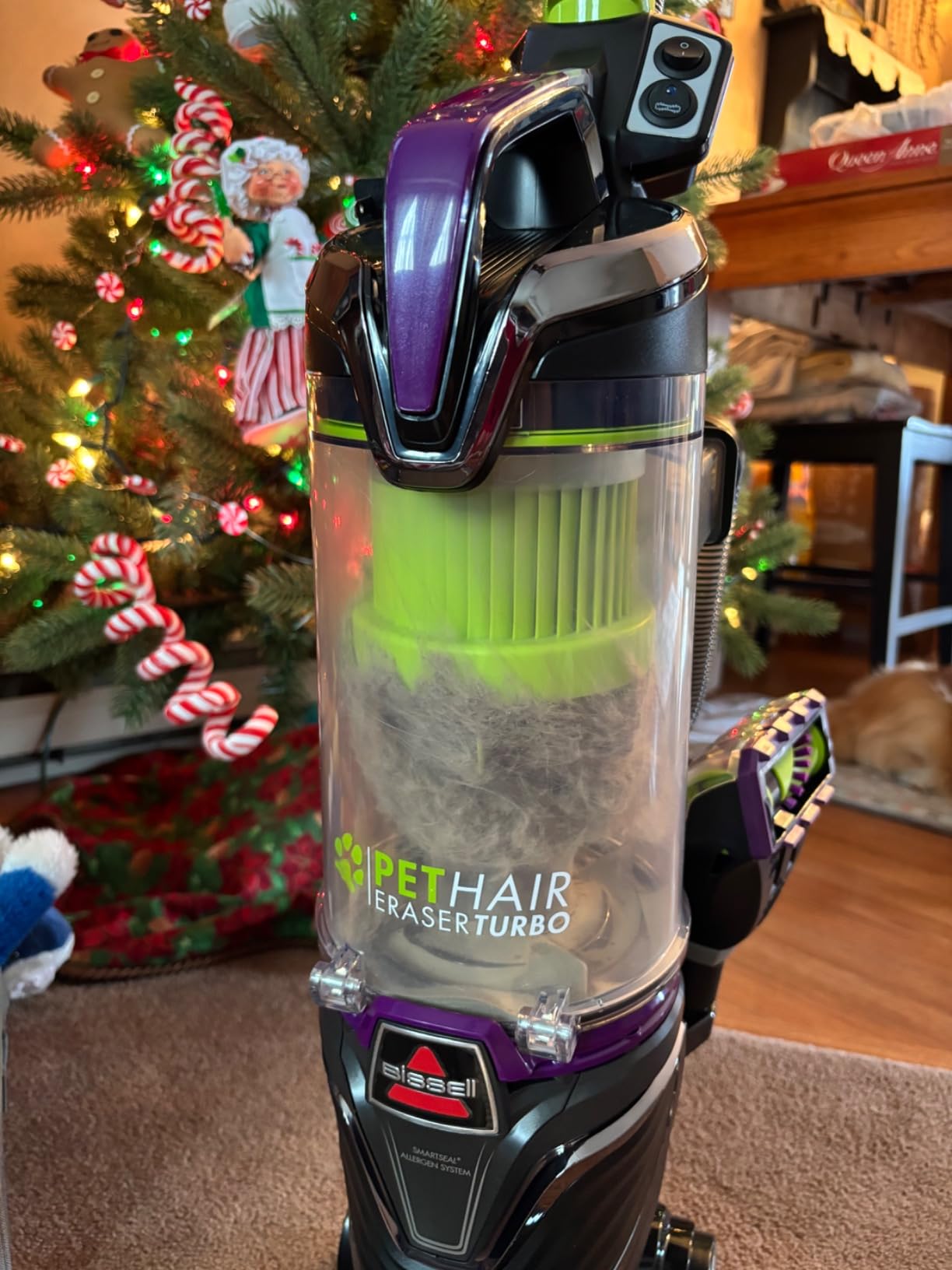 BISSELL 24613 Pet Hair Eraser Turbo Plus Lightweight Vacuum, Tangle-Free Brush Roll, Powerful Pet Hair Pick-up, SmartSeal Allergen System, Specialized Pet Tools, Easy Empty Dirt Tank Customer Review BISSELL 24613 Pet Hair Eraser Turbo Plus Lightweight Vacuum, Tangle-Free Brush Roll, Powerful Pet Hair Pick-up, SmartSeal Allergen System, Specialized Pet Tools, Easy Empty Dirt Tank - Customer Photo 2