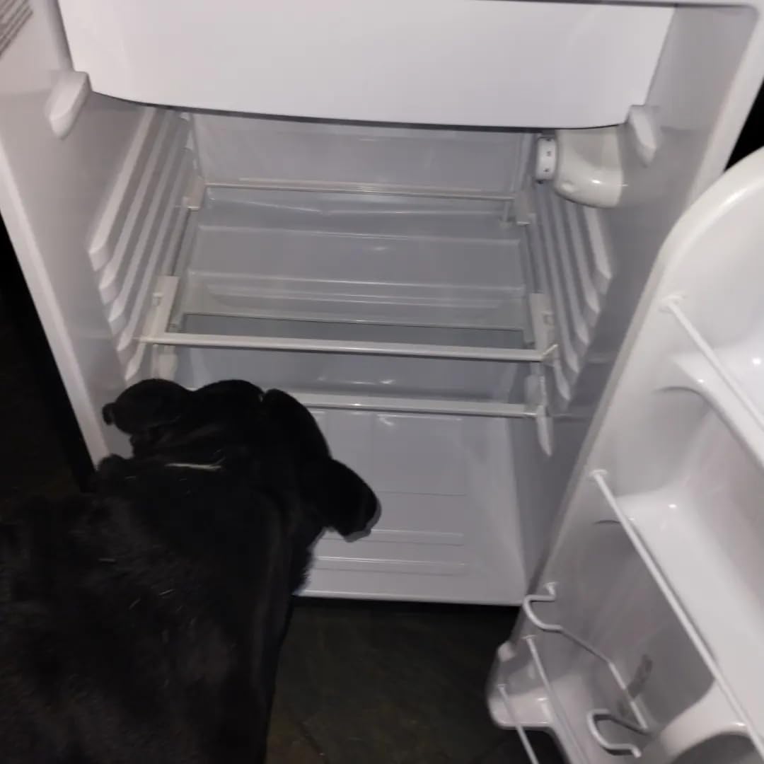 Frigidaire EFR492 4.5 cu ft Refrigerator, Stainless Steel Door, Platinum Series Customer Review Frigidaire EFR492 4.5 cu ft Refrigerator, Stainless Steel Door, Platinum Series - Customer Photo 1